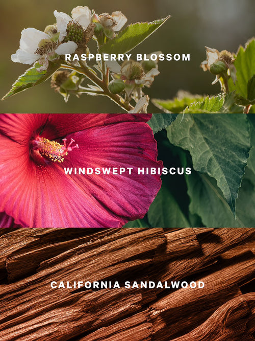 Serene Blooms Mist de Victoria’s Secret