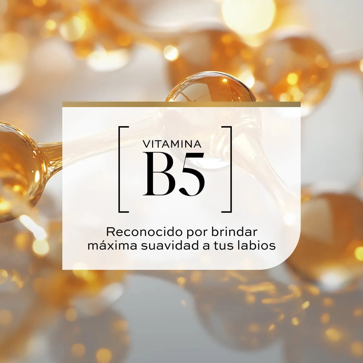 Labial Líquido Mate Indeleble L’Bel